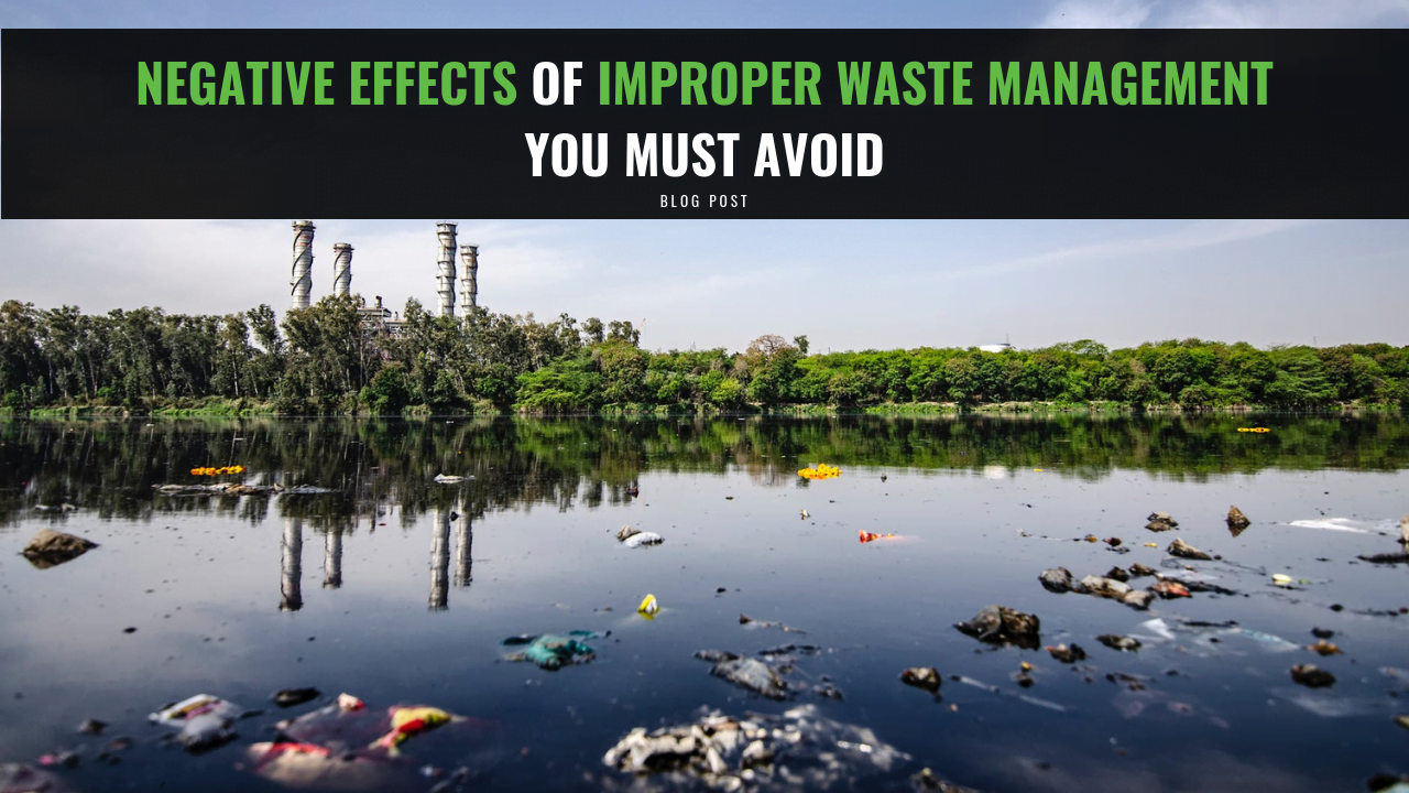 Negative Effects of Improper Waste Management You Must Avoid Backsafe
