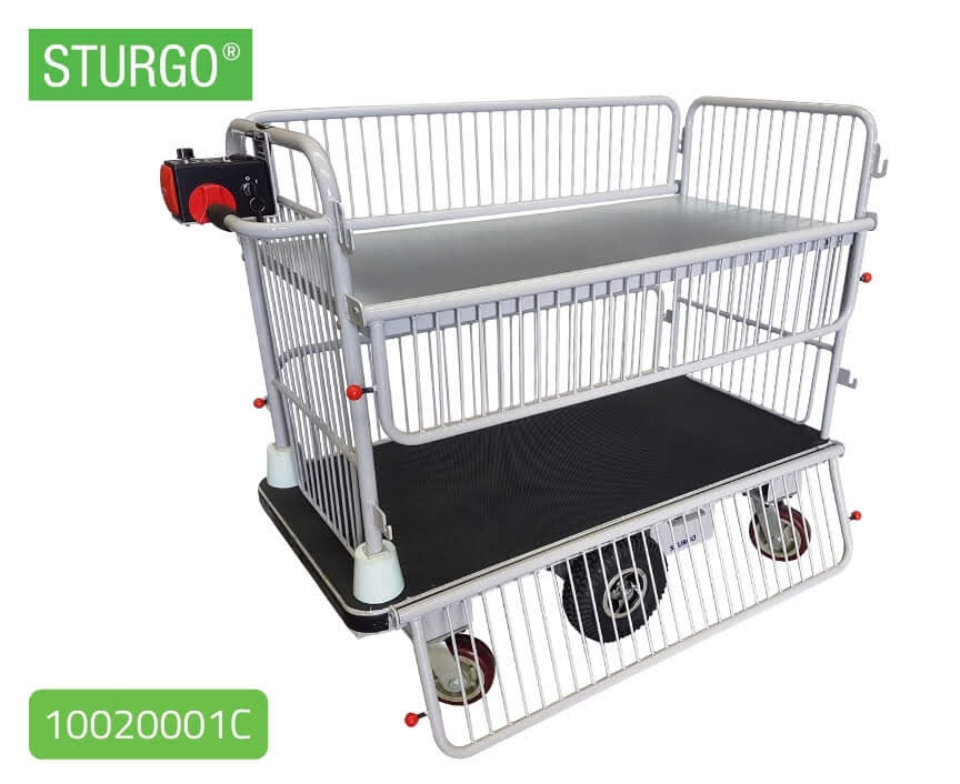 Custom Electric Double Platform Trolley